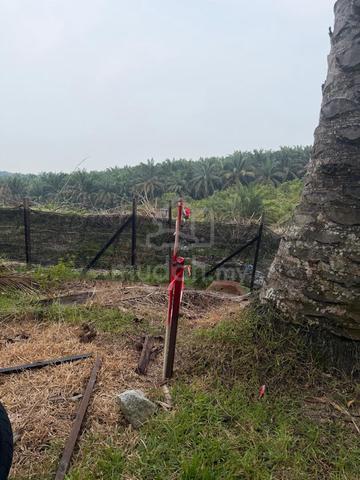 Tanah 2 Ekar Untuk Dijual – Sungai Jambu, Selama 1