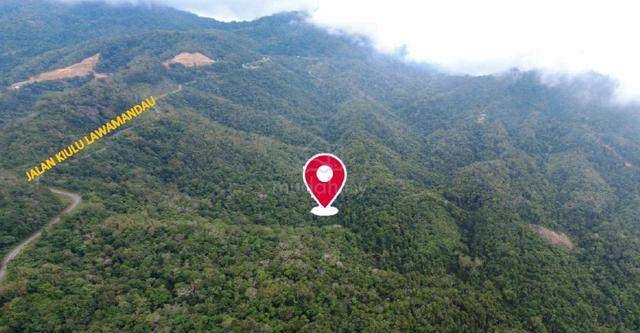 53.50 Acres Development Land for Sale – Jalan Kiulu Lawamandau, Kiulu 1