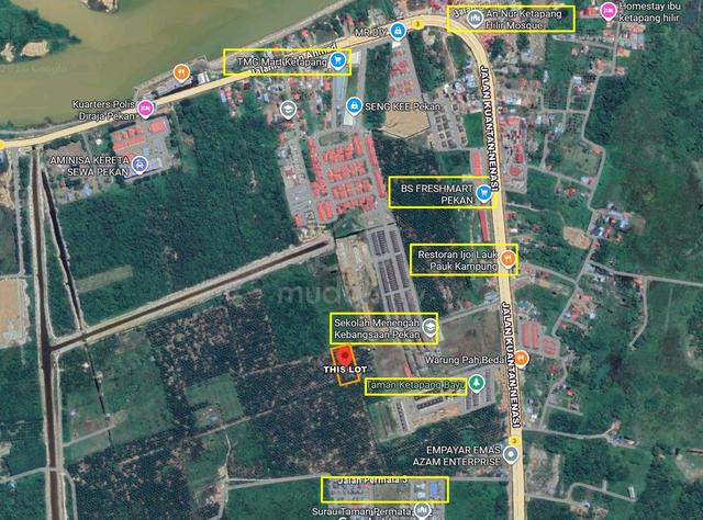 Tanah Pertanian Ketapang Pekan 🔥Near SMK Pekan & Bandar Pekan 1