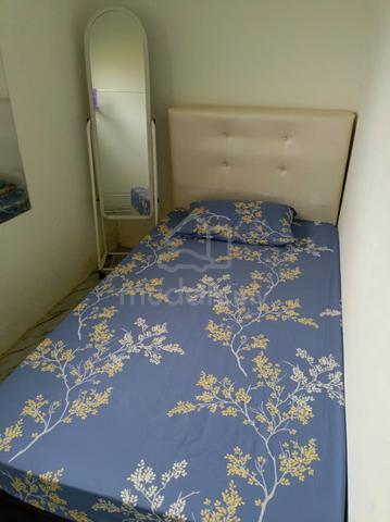 Carousel Image