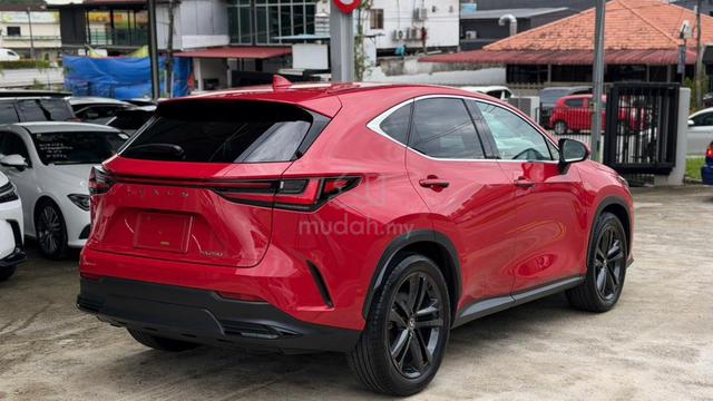 * Light Brown SEAT 4.5B *✨2023 Lexus NX 250 LUXURY - 5