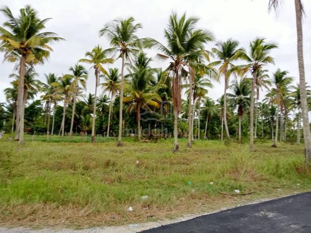 Tanah 1.86 ekar untuk dijual 1