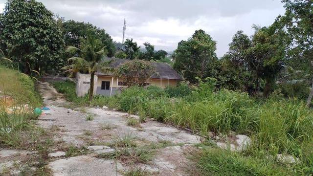 Land for Rent 1