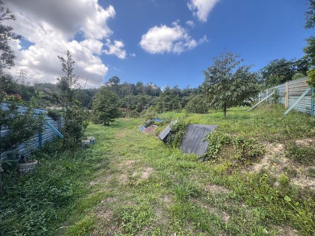 1.5 Ekar Durian farm Pantai Jelabu Seremban 1