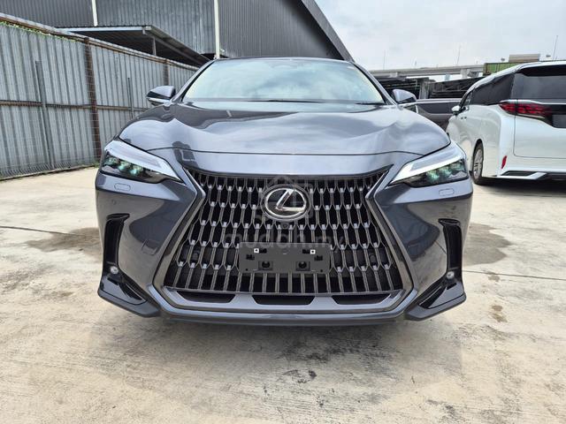 2022 Model: Lexus Nx250 Version L - 3