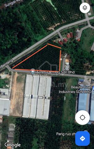 Klang Kg. Perepat agricultural land for sales 1