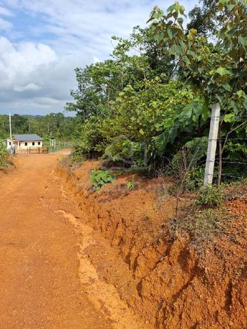 Tanah Pertanian untul dijual di Rembau 1