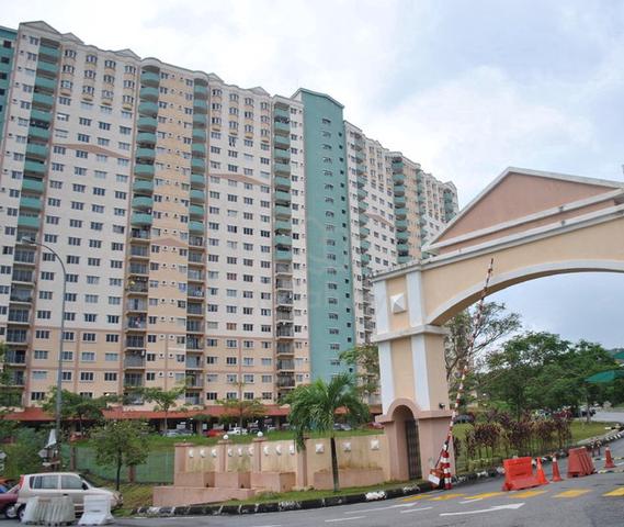 Desaminium Rimba 1