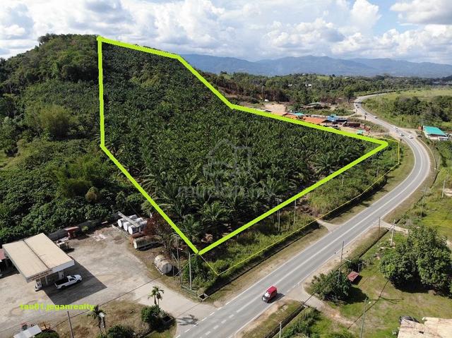 Keningau nabawan Tawau (Roadside) Palm Oil Land. CL15acs  (For Sale) 1