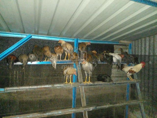 Carousel Image