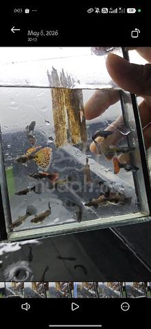 Carousel Image