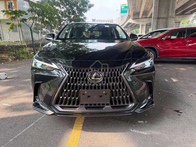 2024 Lexus NX250 2.5 LUXURY 360View BSM DIM P/Boot - 1