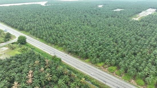 Main Road Frontage, Flat Land Prime Location ，Easy Access to the Land 1