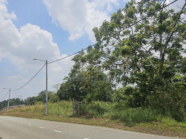 tanah pertanian untuk disewa 1