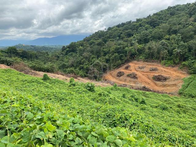 ROAD ACCESS | 4.4 Acre Agricultural Land Mukim Chengkau, Rembau, N9 1