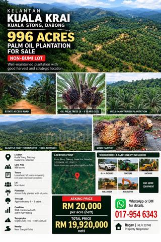 Kelantan Kuala Krai | 996 Acres Palm Oil Plantation For Sale 1