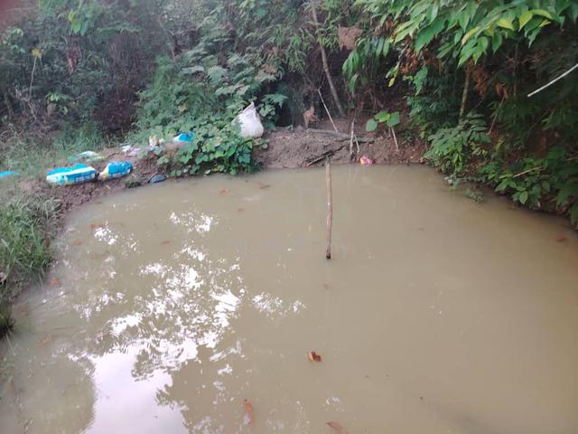 Dusun di Air Mawang 1