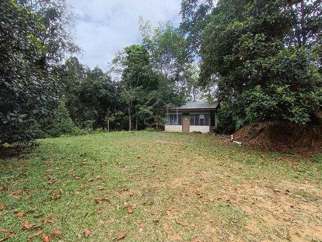 Sungai Ara 1.032 acres (FIRST GRADE) Agriculture Land FOR SALE 1