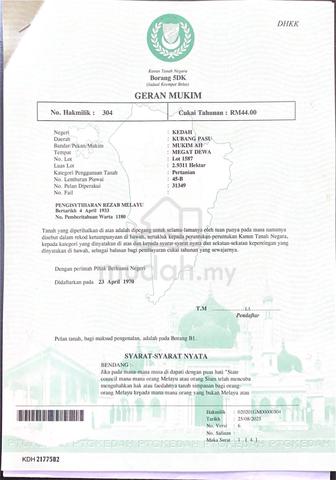 Tanah Pertanian untuk dijual 1