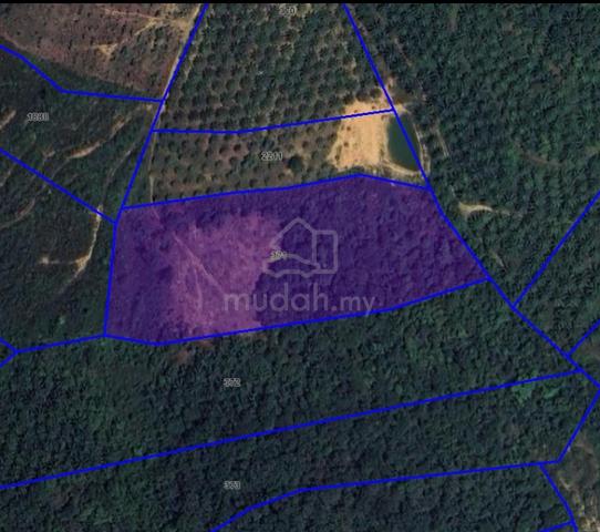 Tanah Pertanian Bukit Perah untuk Dijual 1
