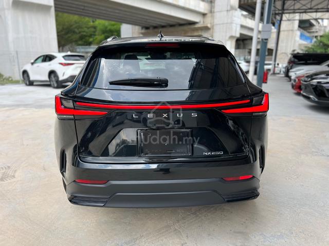 LIMITED SALE UNREG 2022 Lexus NX 250 2.5 VERSION L - 3