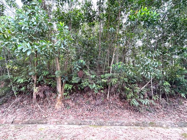 Residential Land @ RASAH KEMAYAN 1