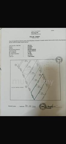 Tanah 3 ekar lot pertanian 1