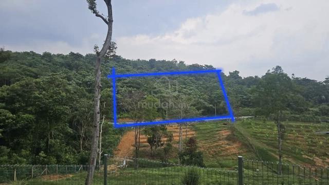 Agriculture Land for Sale  1