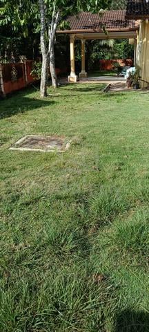 Tanah Untuk Sewa Tanam SAYUR 1