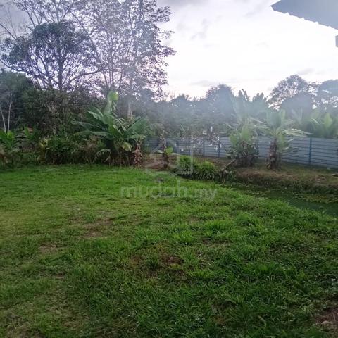 278 Kebun Buah Matang Untuk Dijual Di Jelebu Negeri Sembilan 1