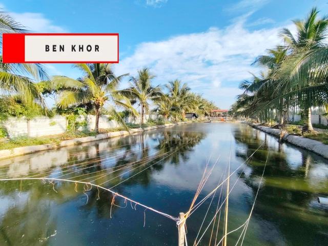 3.4 Acres | 8 Fish Pond | Catfish & ikan Patin | Bagan Serai | PERAK 1