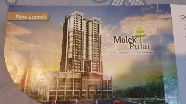 Molek Pulai 1