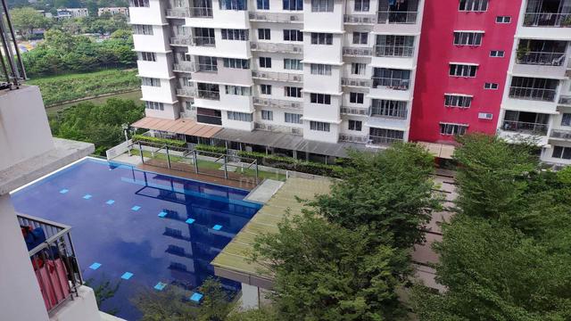 Koi Kinrara 1