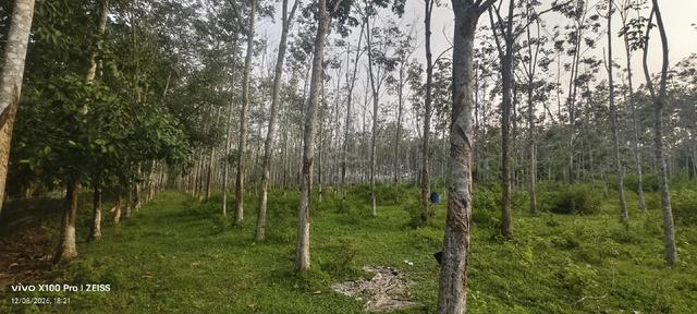 Tanah Getah Teloi Kiri 1