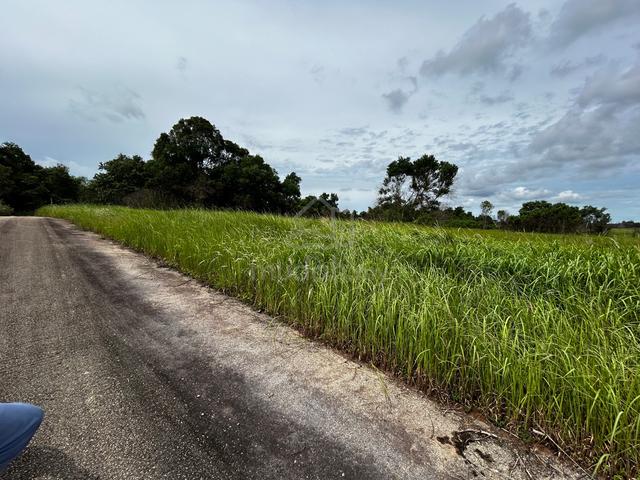Tanah Pertanian Mukim Tanjung Surat, Sg Lebam @ Pengerang Untuk Dijual 1