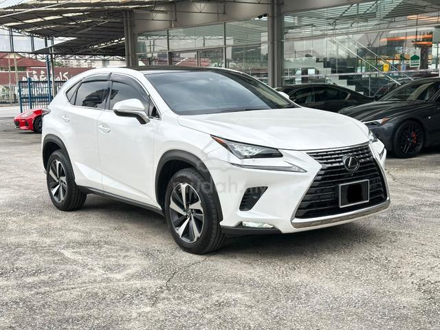 2019 Lexus NX300 2.0 i-Package 4Cam Glass Roof🌟 - 1