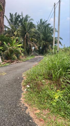 Pajakan Tanah Di Kampung Parit Bachok Benut 1