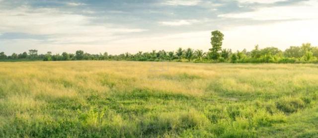 Industrial Land 1.16 Acre Eco Business Park Puncak Alam Gated Guarded 1