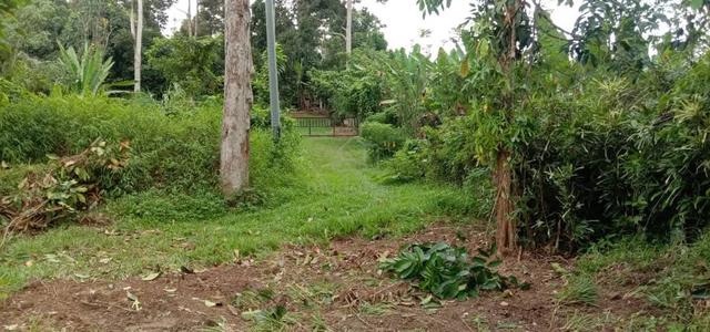 Keluasan tanah 1/2 ekar
Geran mukim dan rezab melayu 
 4