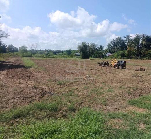 untuk di jual perlis kg. Batu bertangkup 1