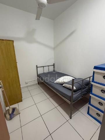 single room 1