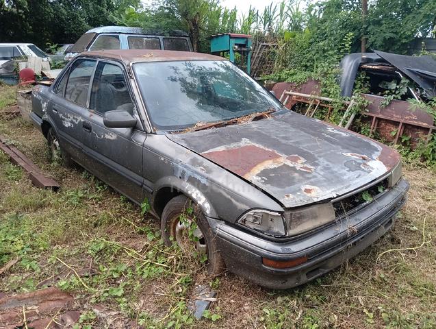 Carousel Image