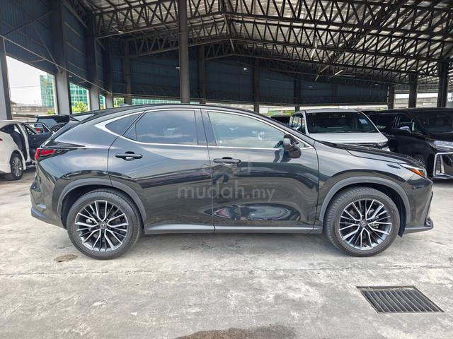 2023 Lexus NX 250 Luxury 4Cam360View DIM HUD P/B - 5