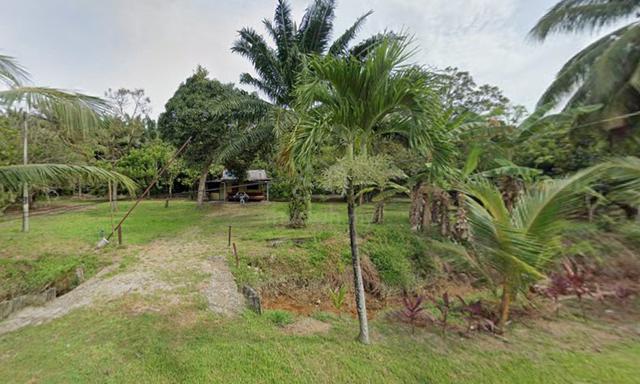 1.7 Ekar Tanah Pertanian Kampung Ladang Batu Kuala Langat | FREEHOLD 1