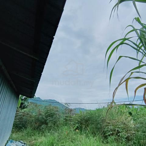 Agriculture land in Balik Pulau @Bukit Ayer Itam 3