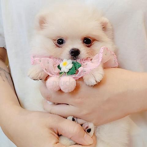 Carousel Image Selected