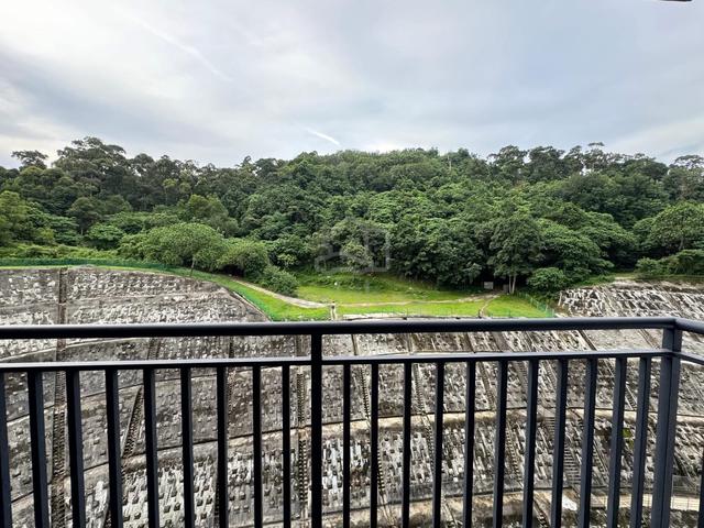 TreeO 3