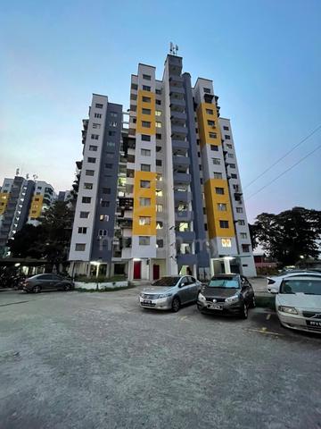 Halaman Tenggiri 1