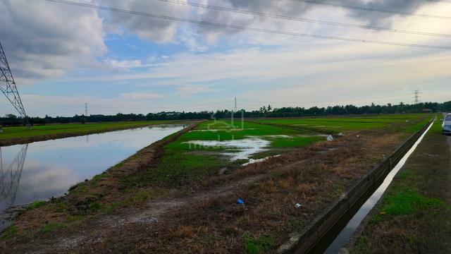 Tanah di Selinsing, Kerian, Perak 1