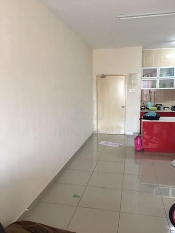 OUG Parklane 1